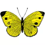 Vector image of black and yellow butterfly