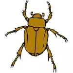 金龟子 bug