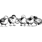 Black and white drawing of chicks