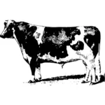 Vektor Klipart z chovu krav