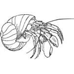 Imagine vectorială de crab pustnic