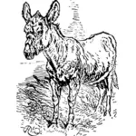 Vector tekening van oude triest ezel op gras