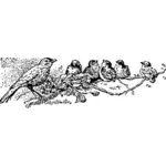 Vektor-Illustration von Rotkehlchen