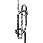 Sheep shank marine knot vector drawing