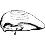 Image vectorielle bouillie Turquie