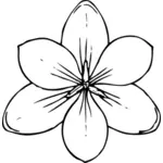Image vectorielle de la vue de dessus de fleur crocus
