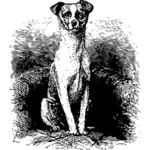 Câine pe scaun vector imagine