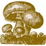 蘑菇矢量图像