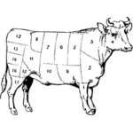 Ox vlees delen vector diagram