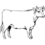 Vector image of an ox