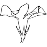 Periwinkle bunga vektor gambar