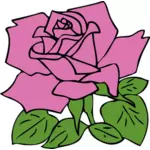 Rosa rose vektortegning