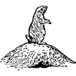 Prairie hunden vektorgrafikk