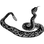 Çıngıraklı yılan vektör küçük resim