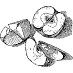 Desenho vetorial de maçã em fatias