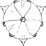 Vector image of top view of tulip
