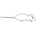 Mouse vector image