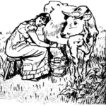 Lady ordenhando uma vaca