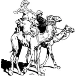 Люди на верблюдах