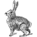 Кролик векторная иллюстрация
