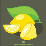 Image vectorielle de citrons