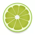 Lime slice vector image