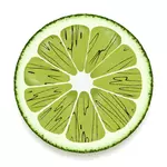 Dessin vectoriel de tranche citron vert