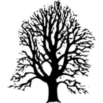 Kapur pohon vektor ilustrasi