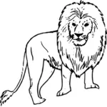 אריה אפריקאי וקטור איורי קו