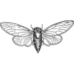 Imagen mariposa arty