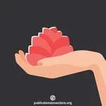 Flor de loto en mano