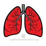 Ilustracja wektorowa płuc