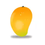 Mango ovoce vektorový obrázek