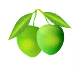Imagen vectorial de mango