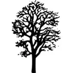 Javorový strom vektorové kreslení