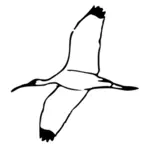 Pták letí nahoru vektorový obrázek