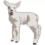 Arte vettoriale agnello giovane