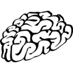 Rysunek wektor ciągnione ludzkiego mózgu