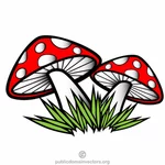 有毒的蘑菇