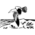 Vector drawing of flying herring gull