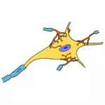 単純な神経細胞ベクター描画