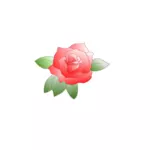 Barevné růže s listy