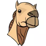 ラクダの頭のイメージ