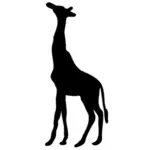 Giraffe contour vector clip art