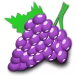 Vector illustration of grapes