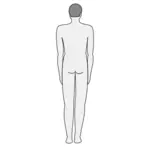 ClipArt vettoriale silhouette di corpo maschile