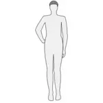 Human body silhouette vectpr