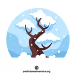 Karla kaplı meşe ağacı