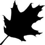 Silhouette vector illustration of oak leaf