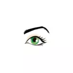 Ilustración de vector de ojo verde con sombra rosa